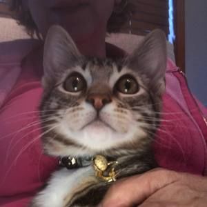 Meet your Posher, Elaine